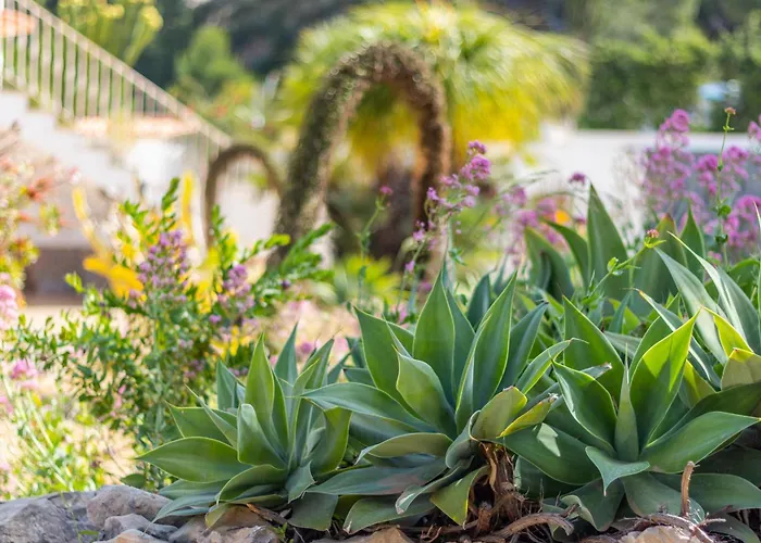 ヴィラ Merced カルプ